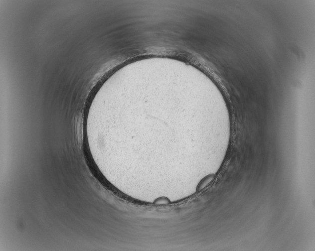 X0000112920011200909211103