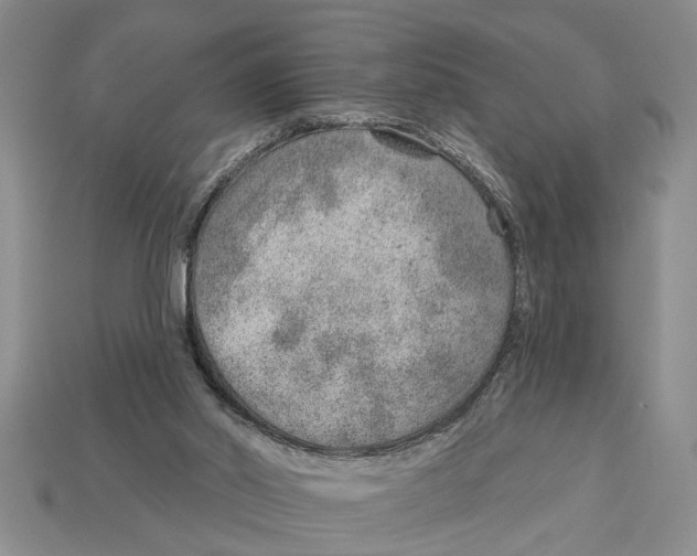 X0000112920014200909211103