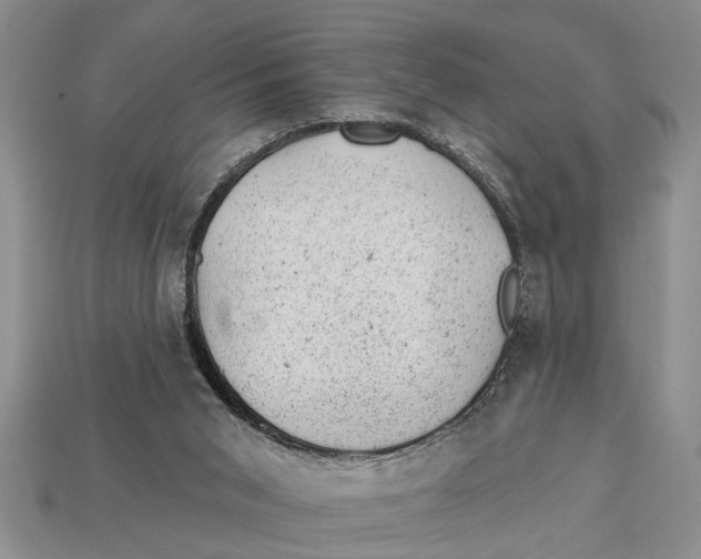 X0000112920015200909211103