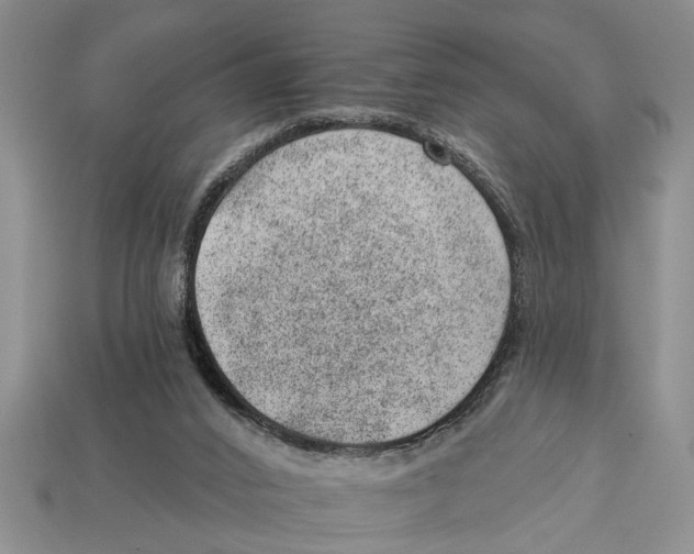 X0000112920016200909211103