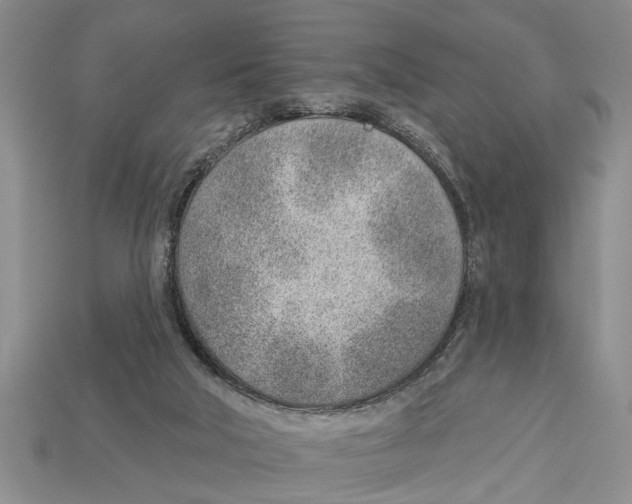 X0000112920018200909211103