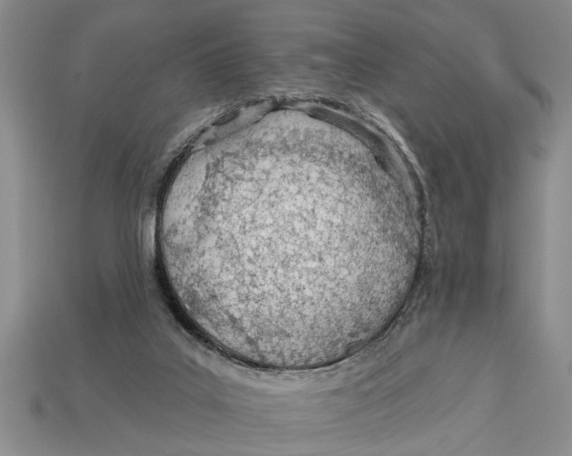 X0000112920019200909211102