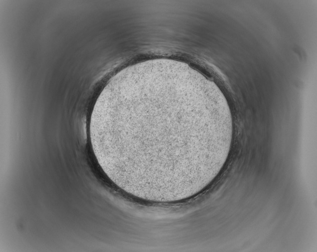 X0000112920020200909211102