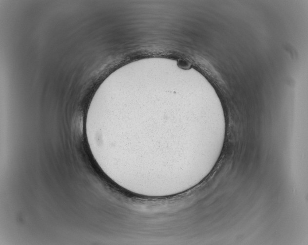 X0000112920021200909211102