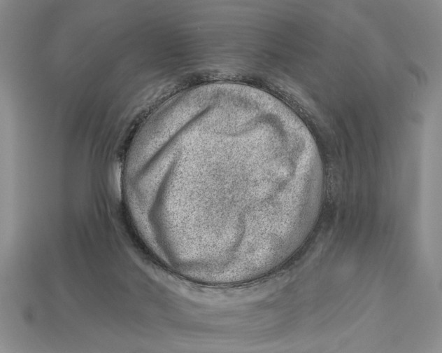 X0000112920022200909211102
