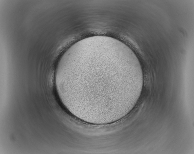 X0000112920023200909211102