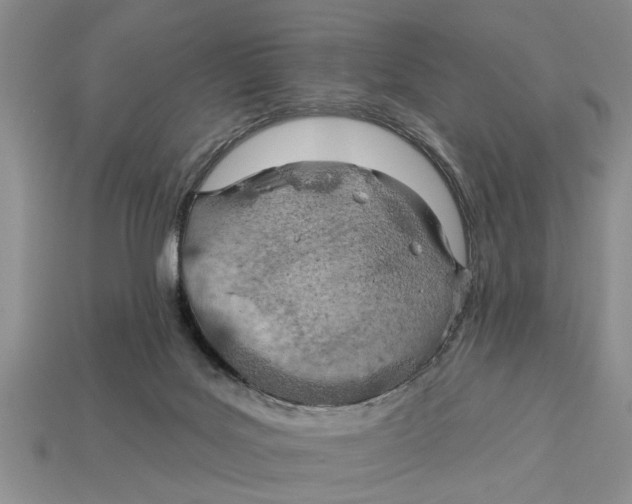 X0000112920027200909211102