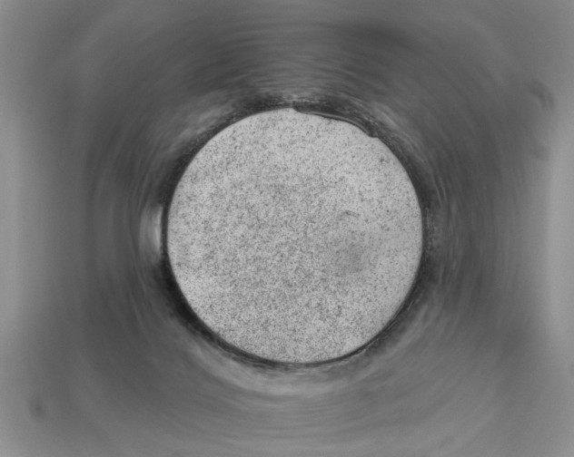 X0000112920028200909211102