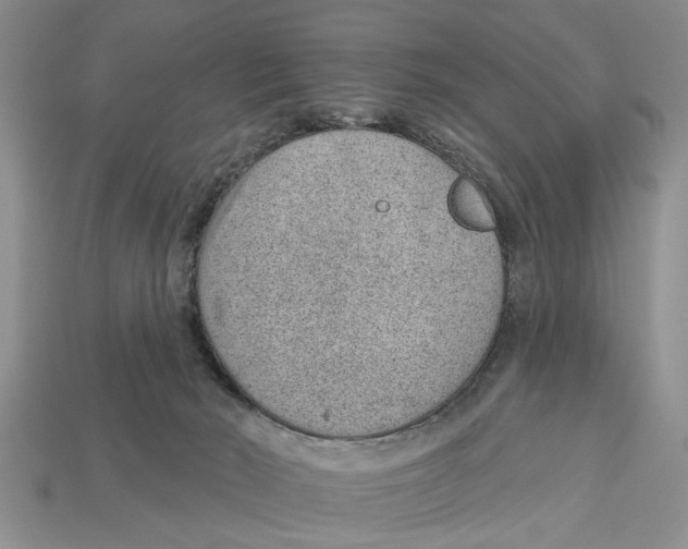X0000112920030200909211102