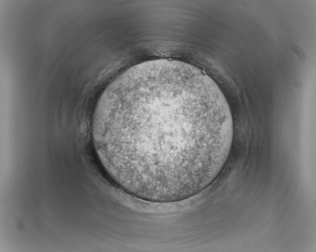 X0000112920031200909211102