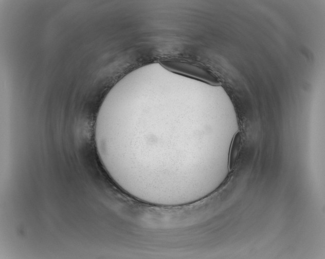 X0000112920033200909211102