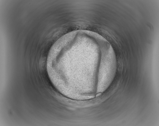 X0000112920034200909211102