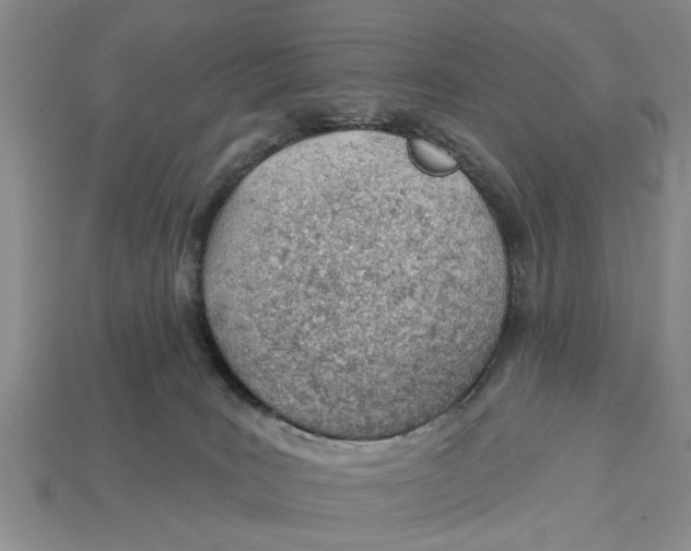 X0000112920035200909211102