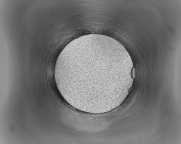 X0000112920040200909211102