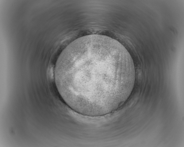 X0000112920042200909211102