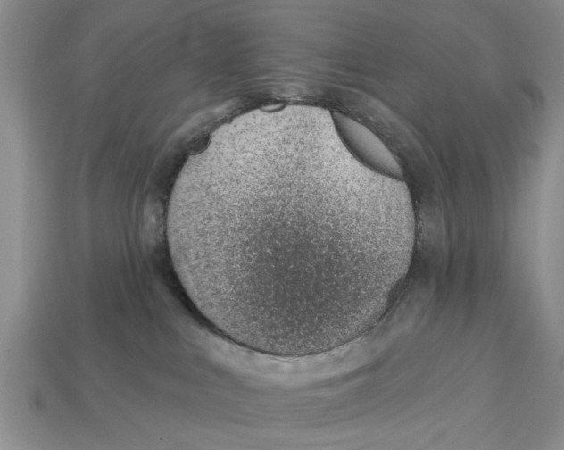 X0000112920043200909211102