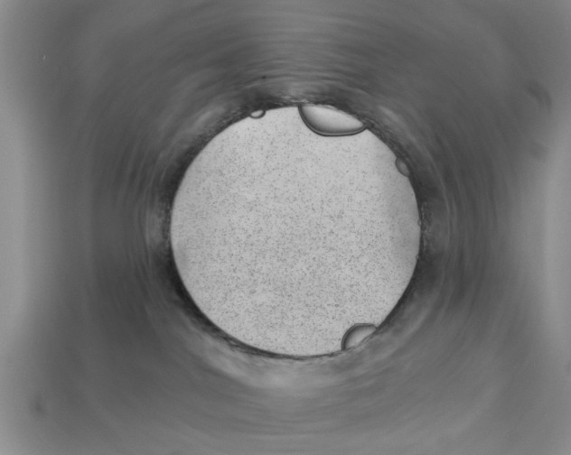 X0000112920044200909211102