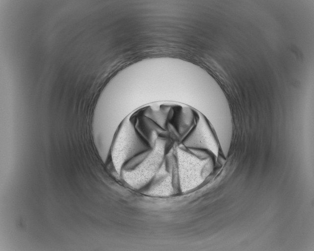 X0000112920045200909211102