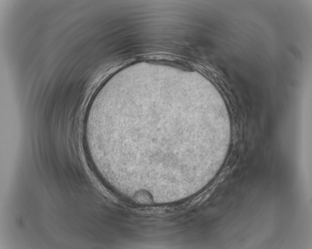X0000112920049200909211101