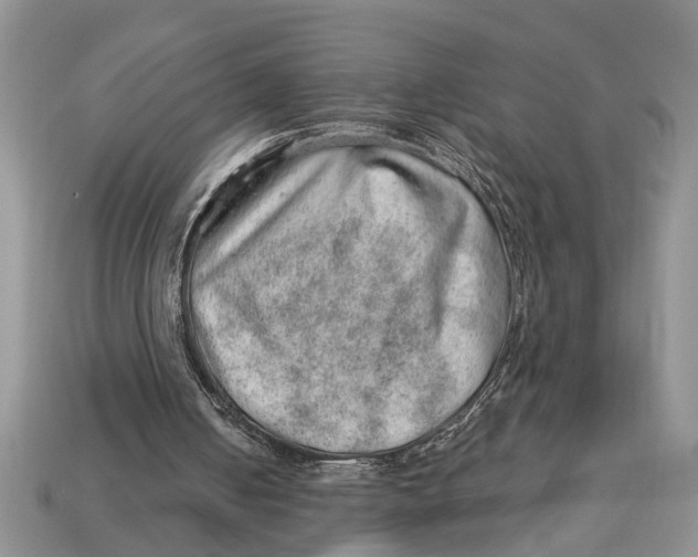 X0000112920050200909211101