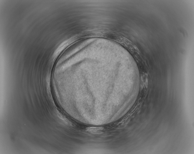 X0000112920051200909211101