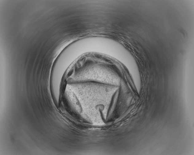 X0000112920052200909211101