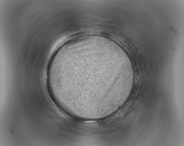 X0000112920053200909211102