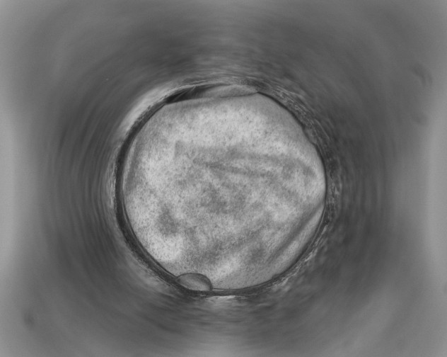 X0000112920054200909211102