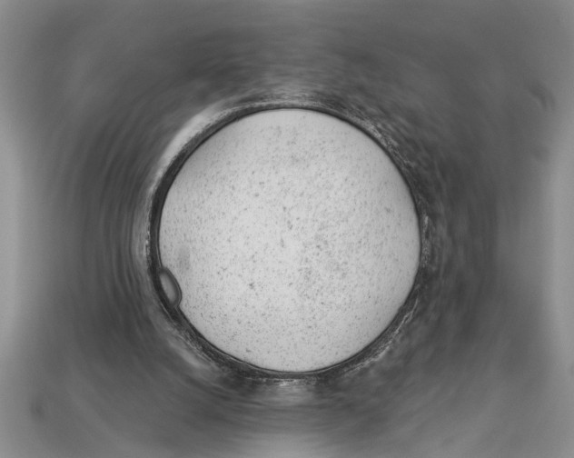 X0000112920056200909211102