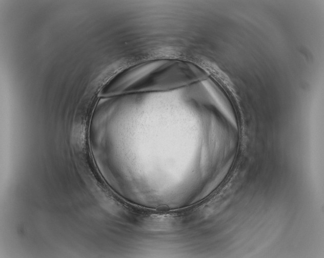 X0000112920057200909211102