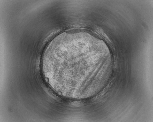 X0000112920058200909211102