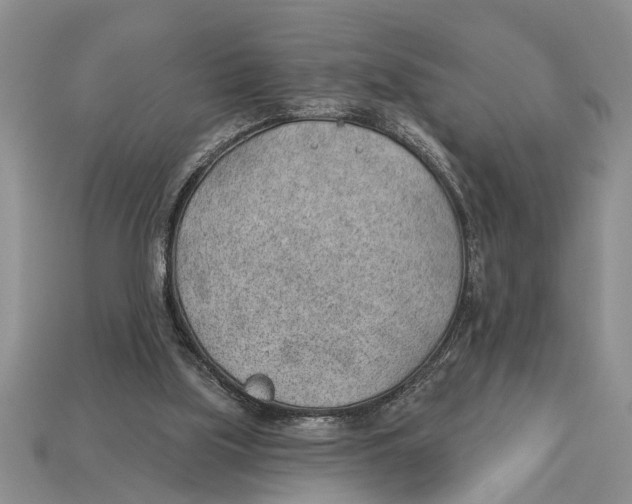 X0000112920059200909211102