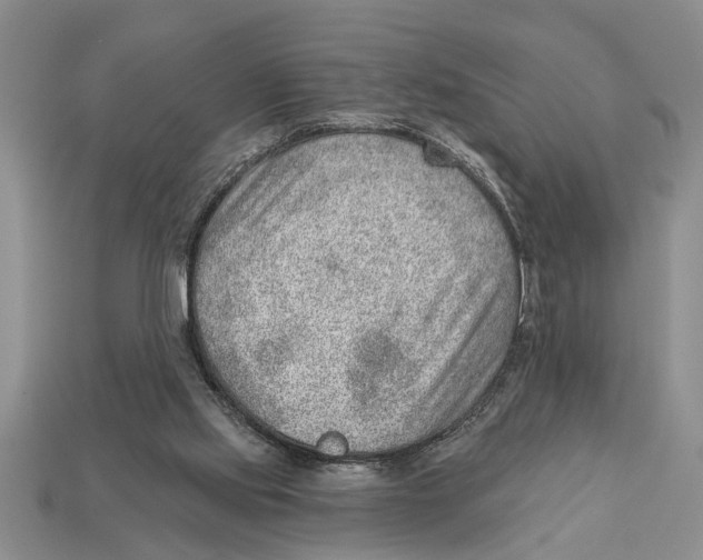 X0000112920061200909211102
