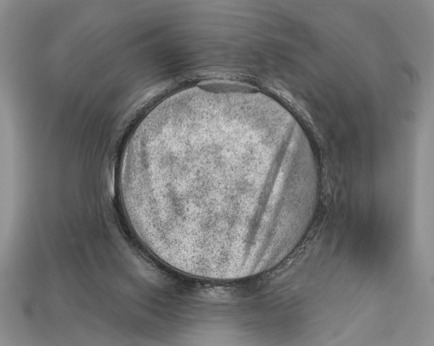 X0000112920062200909211102