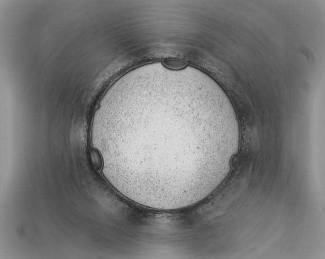 X0000112920064200909211102