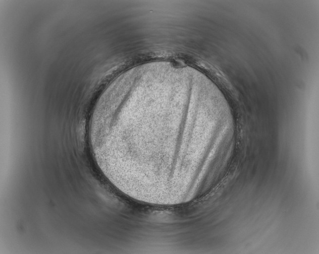 X0000112920066200909211102