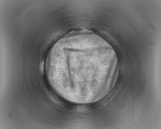 X0000112920070200909211102