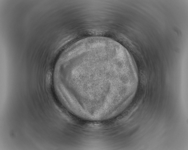 X0000112920071200909211102