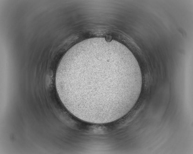 X0000112920073200909211102