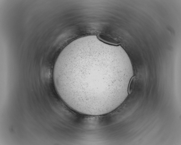 X0000112920084200909211102