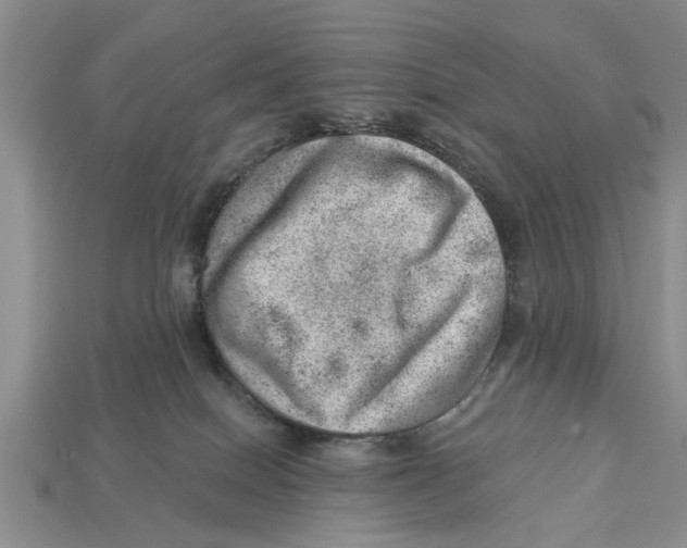 X0000112920086200909211102