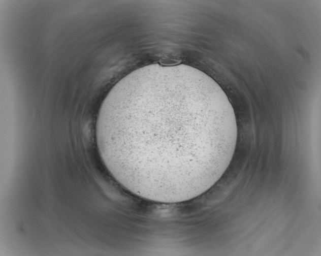 X0000112920088200909211102