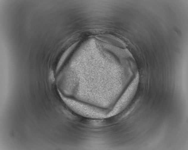 X0000112920089200909211102