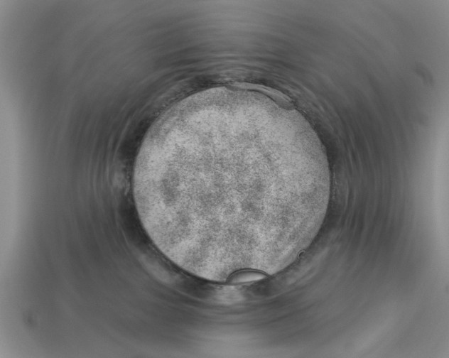X0000112920091200909211102