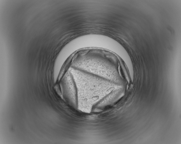 X0000112920092200909211102