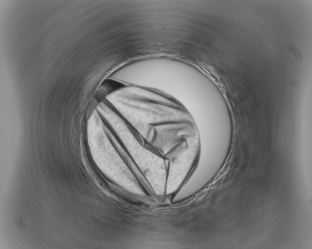 X0000112920097200909211101