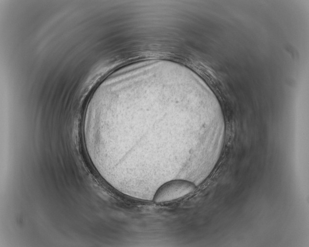 X0000112920098200909211101