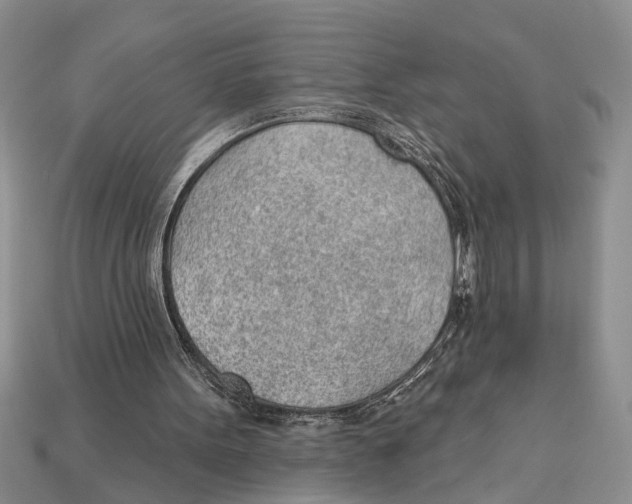 X0000112920099200909211101