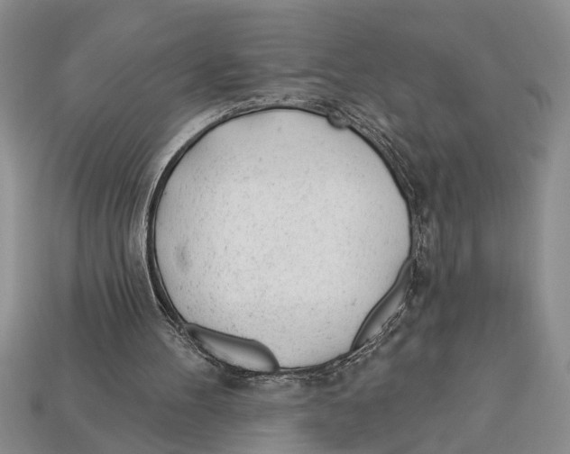 X0000112920100200909211101