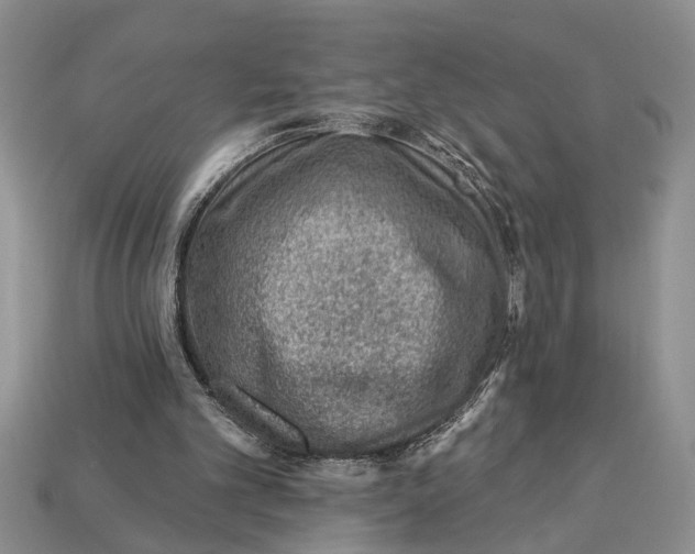 X0000112920101200909211101
